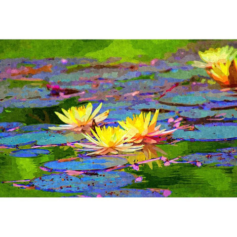 Yellow Water Lillies Gold Ornate Wood Framed Art Print with Double Matting by Alpenglow Workshop