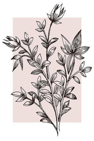 Botanical Branch White Modern Wood Framed Art Print with Double Matting by Alpenglow Workshop