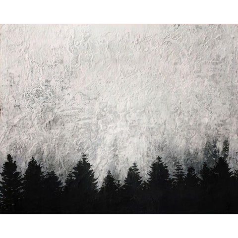 Cloudy Day in the Forest Black Modern Wood Framed Art Print with Double Matting by Alpenglow Workshop