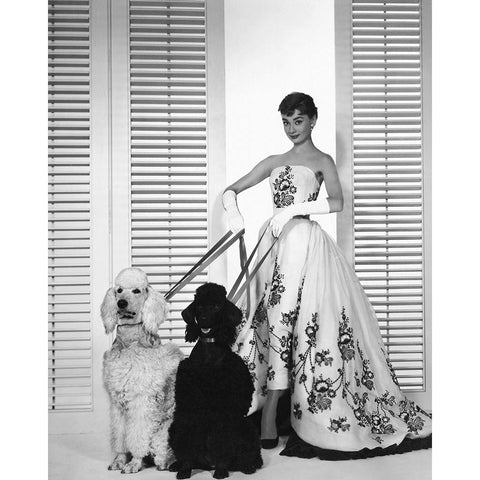 Audrey Hepburn, Sabrina, 1954 White Modern Wood Framed Art Print by Vintage Hollywood Archive