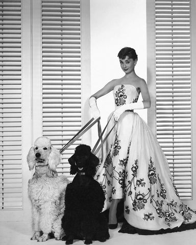 Audrey Hepburn, Sabrina, 1954 White Modern Wood Framed Art Print with Double Matting by Vintage Hollywood Archive