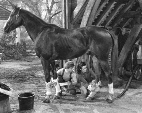 National Velvet, 1944 White Modern Wood Framed Art Print with Double Matting by Vintage Hollywood Archive