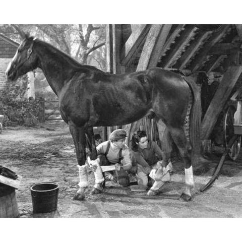 National Velvet, 1944 Gold Ornate Wood Framed Art Print with Double Matting by Vintage Hollywood Archive