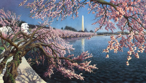 Washington Chronicle Tidal Basin Black Ornate Wood Framed Art Print with Double Matting by Wang, John Z.