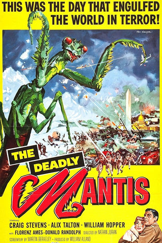 Deadly Mantis-1957 White Modern Wood Framed Art Print with Double Matting by Vintage Hollywood Archive