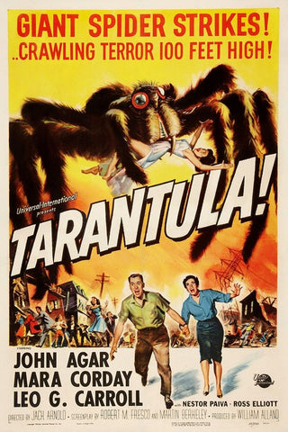 Tarantula-1955 White Modern Wood Framed Art Print with Double Matting by Vintage Hollywood Archive