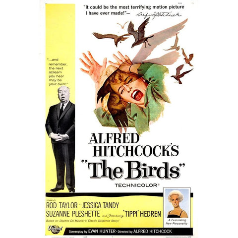 The Birds-1963 White Modern Wood Framed Art Print by Vintage Hollywood Archive