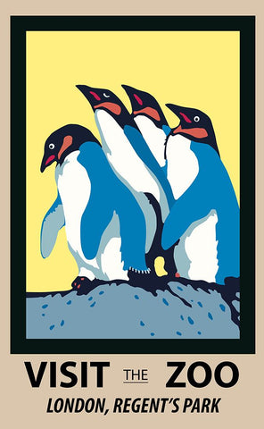 Penguins Zoo Poster White Modern Wood Framed Art Print with Double Matting by Vintage Travel Posters