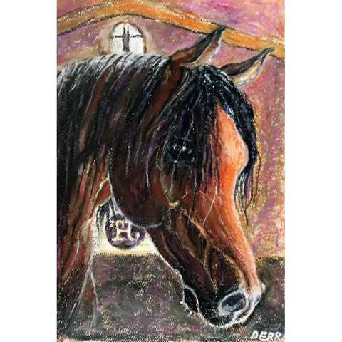 Arabian Stallion Black Modern Wood Framed Art Print with Double Matting by Derr, Wynn