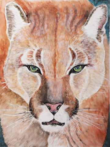 Cougar Courage Black Ornate Wood Framed Art Print with Double Matting by Derr, Wynn