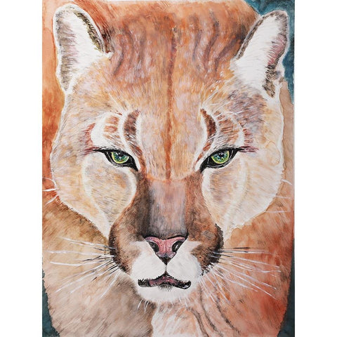 Cougar Courage Black Modern Wood Framed Art Print with Double Matting by Derr, Wynn