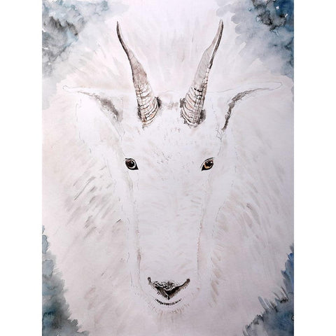 Mountain Goat Gaze White Modern Wood Framed Art Print by Derr, Wynn