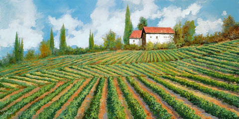 Le Vigne Di Collina White Modern Wood Framed Art Print with Double Matting by Borelli, Guido