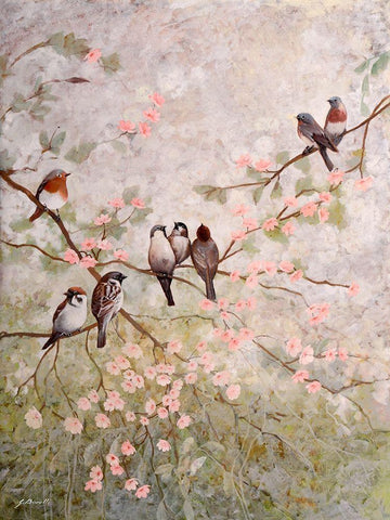 Decorazione con 8 uccelli White Modern Wood Framed Art Print with Double Matting by Borelli, Guido