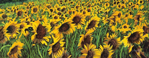 Girasoli Gialli II White Modern Wood Framed Art Print with Double Matting by Borelli, Guido