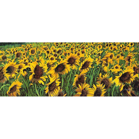 Girasoli Gialli II Gold Ornate Wood Framed Art Print with Double Matting by Borelli, Guido