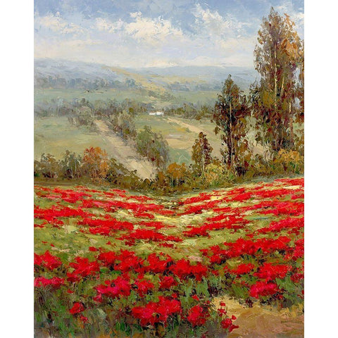 Poppy Vista II Black Modern Wood Framed Art Print with Double Matting by Hulsey