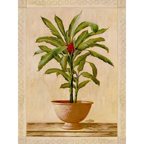 Potted Palm I White Modern Wood Framed Art Print by Welby