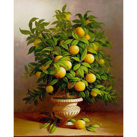 Potted Orange Tree Gold Ornate Wood Framed Art Print with Double Matting by Welby