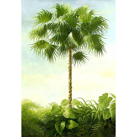 Palm I White Modern Wood Framed Art Print by Welby