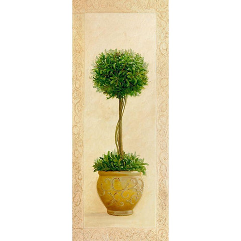 Ball Topiary I Black Modern Wood Framed Art Print with Double Matting by Welby