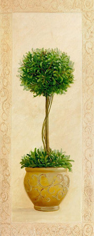 Ball Topiary I White Modern Wood Framed Art Print with Double Matting by Welby