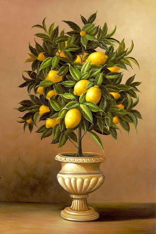 Potted Lemon Tree Black Ornate Wood Framed Art Print with Double Matting by Welby