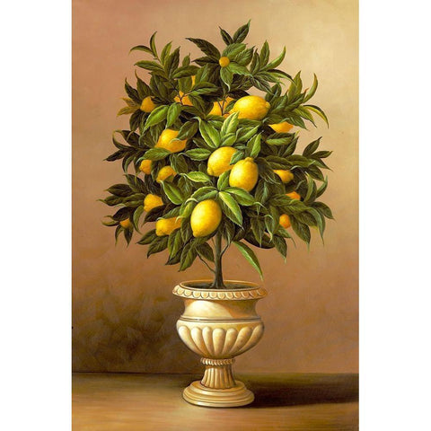 Potted Lemon Tree White Modern Wood Framed Art Print by Welby