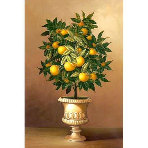 Potted Orange Tree White Modern Wood Framed Art Print by Welby