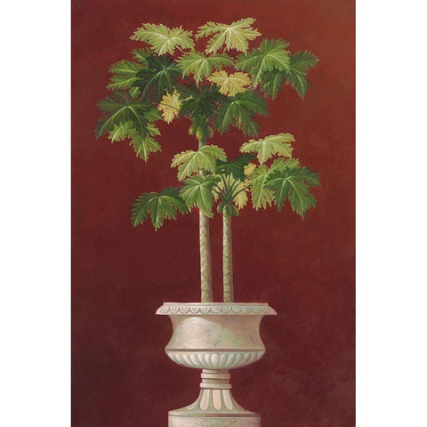 Potted Palm in Red I White Modern Wood Framed Art Print by Welby