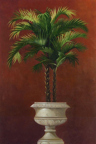 Potted Palm in Red IV White Modern Wood Framed Art Print with Double Matting by Welby