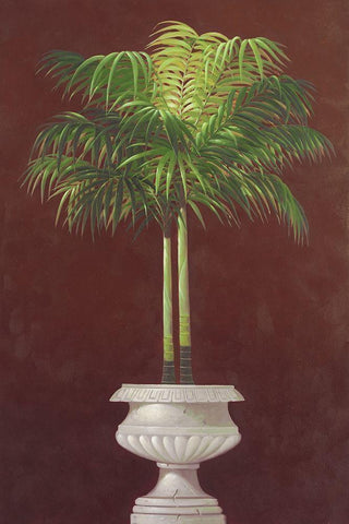 Potted Palm in Red II White Modern Wood Framed Art Print with Double Matting by Welby