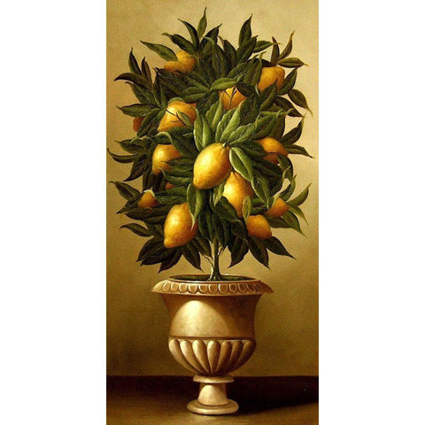 Lemon Topiary  in Marble Urn Black Modern Wood Framed Art Print with Double Matting by Welby