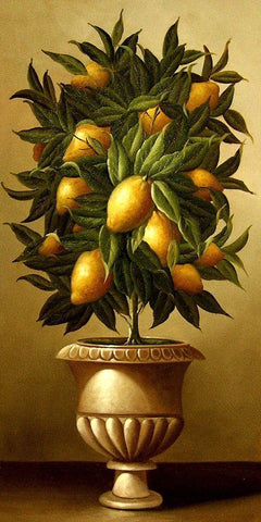 Lemon Topiary  in Marble Urn Black Ornate Wood Framed Art Print with Double Matting by Welby