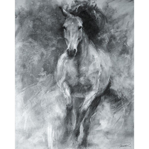 Incoming Equine Black Modern Wood Framed Art Print with Double Matting by Campbell, Robert