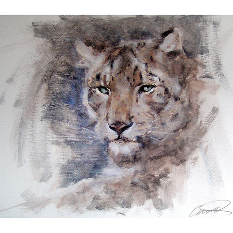 Snow Leopard Stare White Modern Wood Framed Art Print by Campbell, Robert