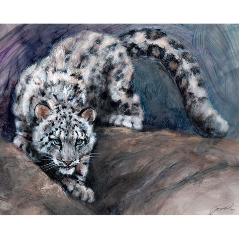 Stalking Snow Leopard Club White Modern Wood Framed Art Print by Campbell, Robert