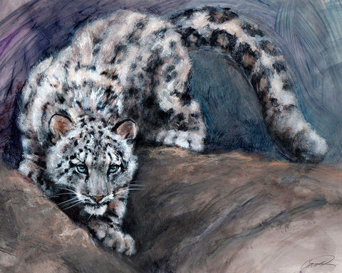 Stalking Snow Leopard Club White Modern Wood Framed Art Print with Double Matting by Campbell, Robert