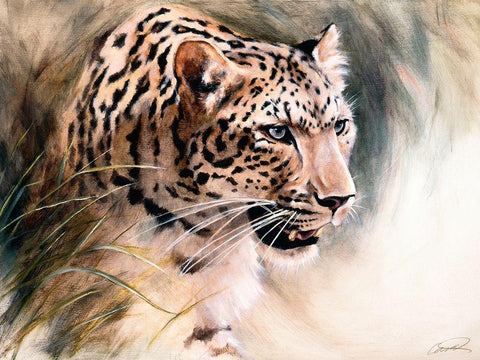 Leopards Lair Black Ornate Wood Framed Art Print with Double Matting by Campbell, Robert