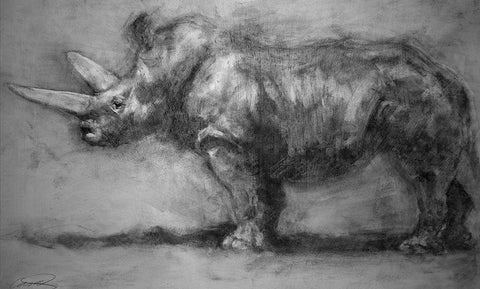 Security Guard Rhino White Modern Wood Framed Art Print with Double Matting by Campbell, Robert