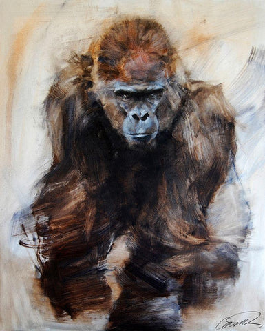 Gorilla Glare White Modern Wood Framed Art Print with Double Matting by Campbell, Robert