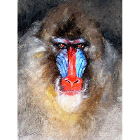 Blushing Mandrill Black Modern Wood Framed Art Print by Campbell, Robert