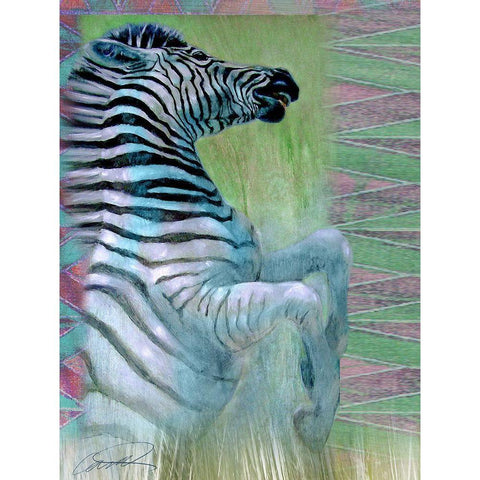 Zebra Zest Black Modern Wood Framed Art Print by Campbell, Robert