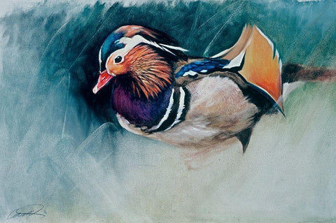 Mandarin Duck Soup Black Ornate Wood Framed Art Print with Double Matting by Campbell, Robert