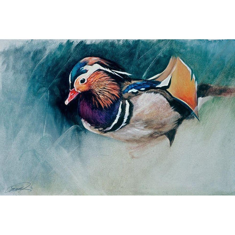 Mandarin Duck Soup Black Modern Wood Framed Art Print with Double Matting by Campbell, Robert