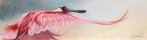 Wingspread Spoonbill White Modern Wood Framed Art Print with Double Matting by Campbell, Robert