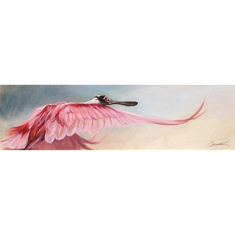 Wingspread Spoonbill Black Modern Wood Framed Art Print with Double Matting by Campbell, Robert