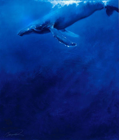 Humpback Song White Modern Wood Framed Art Print with Double Matting by Campbell, Robert