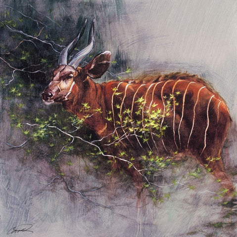 Bongo in the Brush Black Ornate Wood Framed Art Print with Double Matting by Campbell, Robert