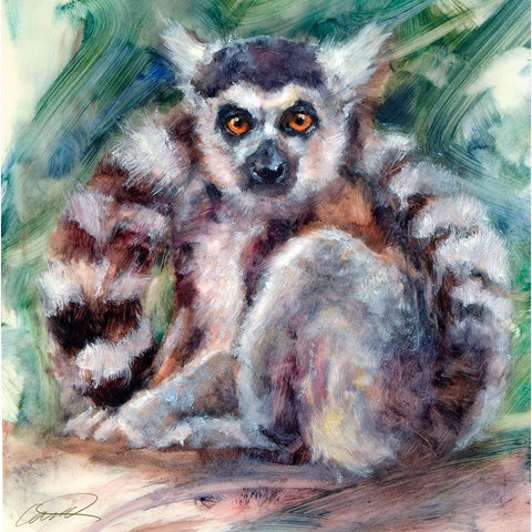 Ring Tailed Lemur Black Modern Wood Framed Art Print by Campbell, Robert
